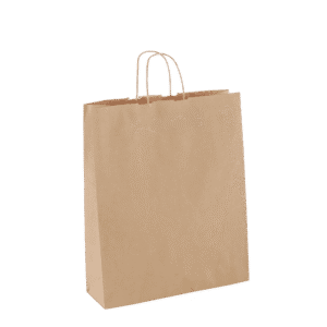 D/P Brown Budget Paper Bag - 250/ctn (Ctn only)