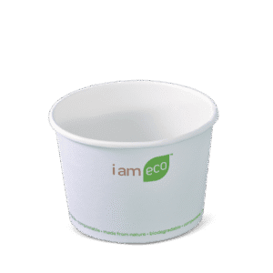 PLA Deli Container - 500/ctn (Ctn only)