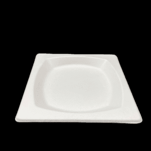 SUGARCANE 10" SQUARE PLATE - 600/CTN-(10 per ctn)