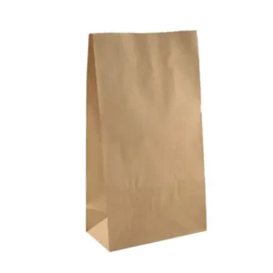 16F Brown Bags - 250/pkt (Full Pkt Only)