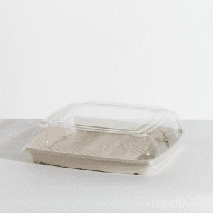 Clear Lid to suit Sugarcane Large platter 16" - 50/ctn (Ctn Only)