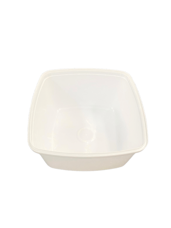 Ice-Cream Rectangular Containers (Ctn Only) - Image 3