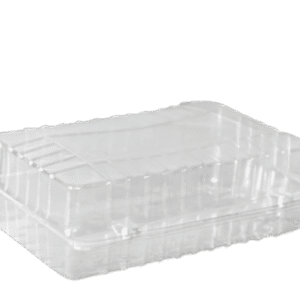 Hinged Lid Container (Ctn only)