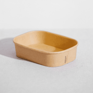 Paper PLA Rectangular Container Kraft-300/ctn (Ctn only)