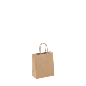 Petite Paper Twist Handle Bag 250ctn 215x180x85 (Ctn Only)