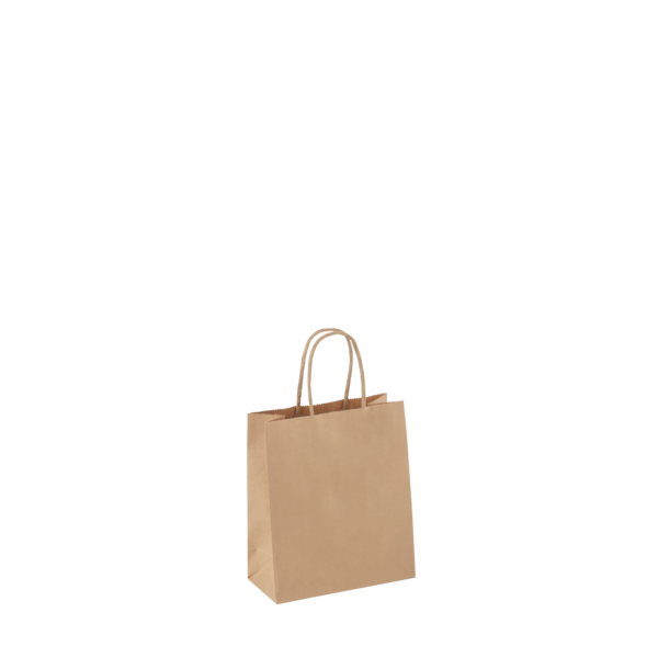 Petite Paper Twist Handle Bag 250ctn 215x180x85 (Ctn Only)