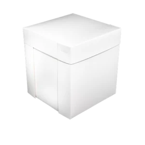 Cake Box 10x10x11 (25pkt) Pkt Only